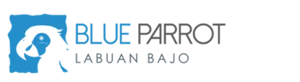 Blue Parrot Komodo